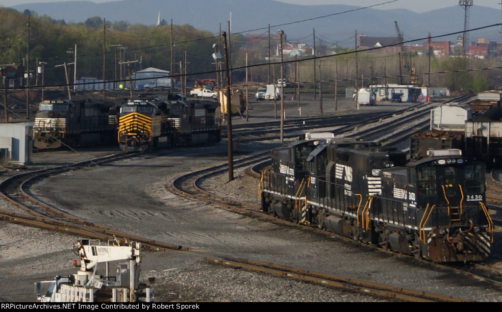 Nice Surprise at Rose Yard